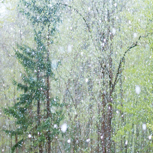 中出中文字幕MV免费高清在线
